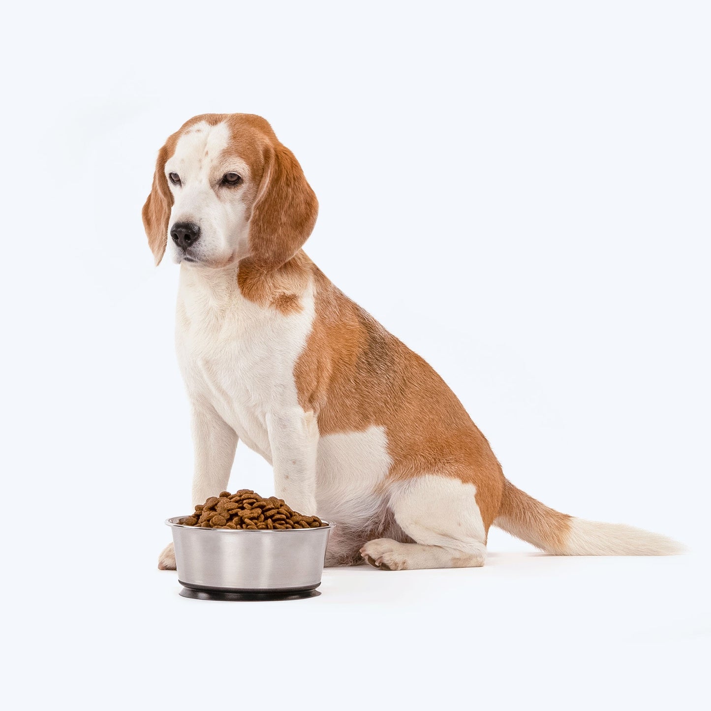 HUFT Suction Dog Bowl