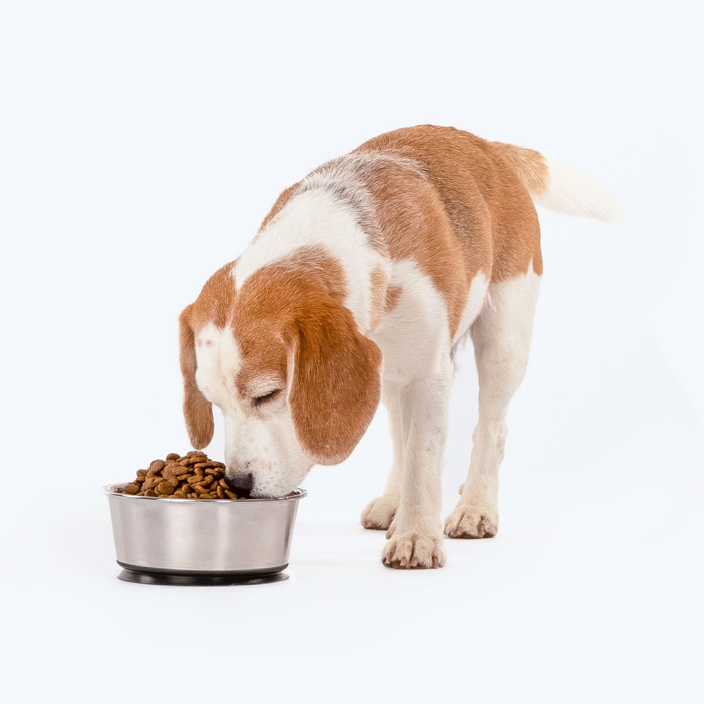HUFT Suction Dog Bowl